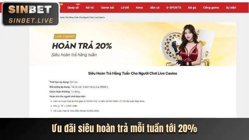 Giao diện người dùng thân thiện của Zalv Nhà Cái